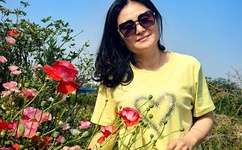 成人网站免费影片可能遭黑客窃取